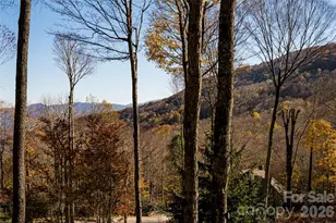 580 Flying Hawk Trl, Waynesville, NC 28786 - Photo 37