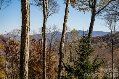 580 Flying Hawk Trail, Waynesville, NC 28786 - Photo 45