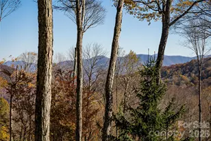 580 Flying Hawk Trl, Waynesville, NC 28786 - Photo 45