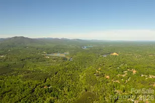 484 Yancey Rd, Marion, NC 28752 - Photo 33