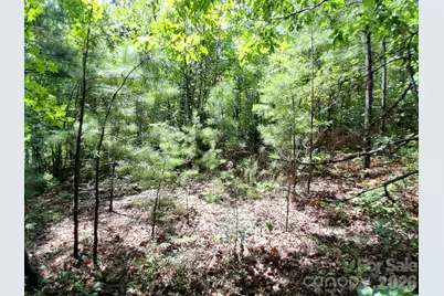 0 Nc 109 Highway S, Mount Gilead, NC 27306 - Photo 7