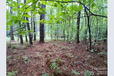0 Nc 109 Highway S, Mount Gilead, NC 27306 - Photo 1