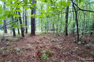 0 Nc 109 Hwy S, Mount Gilead, NC 27306 - Photo 1