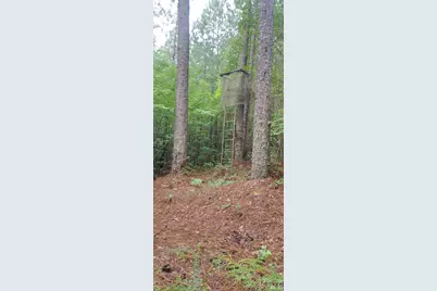 0 Nc 109 Highway S, Mount Gilead, NC 27306 - Photo 31