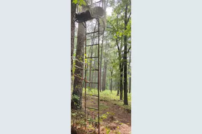 0 Nc 109 Highway S, Mount Gilead, NC 27306 - Photo 27