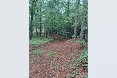 0 Nc 109 Highway S, Mount Gilead, NC 27306 - Photo 5