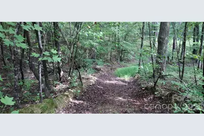 0 Nc 109 Highway S, Mount Gilead, NC 27306 - Photo 35