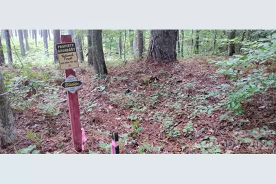 0 Nc 109 Highway S, Mount Gilead, NC 27306 - Photo 39