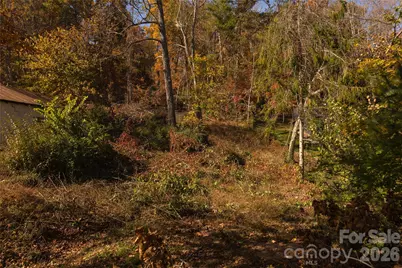 13 Bassett Road, Asheville, NC 28804 - Photo 11