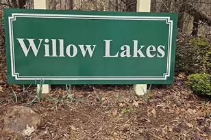 221 Willow Lakes Dr, Rutherfordton, NC 28139 - Photo 25
