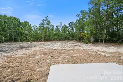 1139 Peach Orchard Road, Jefferson, SC 29718 - Photo 41