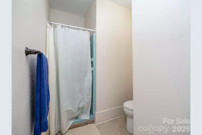 103 E King Street, East Flat Rock, NC 28726 - Photo 21