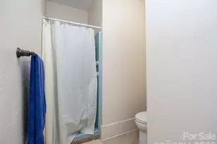 103 E King St, East Flat Rock, NC 28726 - Photo 21