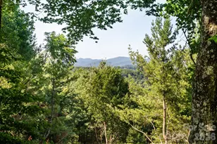 168 Heather St, Boone, NC 28607 - Photo 15