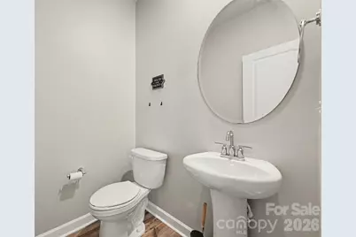 527 Palmarosa Street, Fort Mill, SC 29715 - Photo 13
