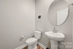 527 Palmarosa St, Fort Mill, SC 29715 - Photo 13