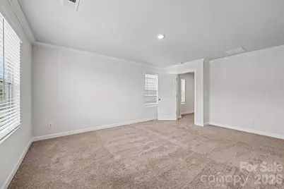 527 Palmarosa Street, Fort Mill, SC 29715 - Photo 15