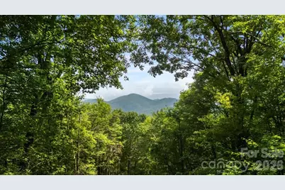 67 Birch Springs Lane #218, Mars Hill, NC 28754 - Photo 3