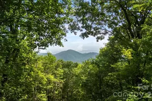 67 Birch Springs Ln, Mars Hill, NC 28754 - Photo 3