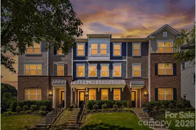16705 Summers Walk Boulevard, Davidson, NC 28036 - Photo 3