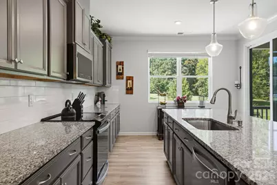 16705 Summers Walk Boulevard, Davidson, NC 28036 - Photo 19
