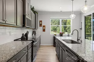 16705 Summers Walk Blvd, Davidson, NC 28036 - Photo 19