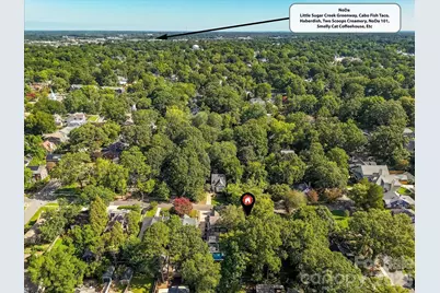 1824 Chestnut Avenue, Charlotte, NC 28205 - Photo 29