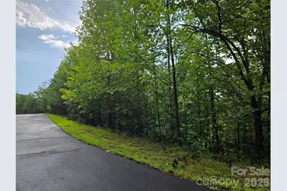 0 Pinegrove Drive #161, Bostic, NC 28018 - Photo 3