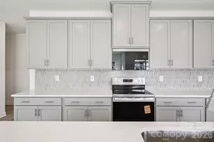 319 Pantego Pl, Salisbury, NC 28144 - Photo 9