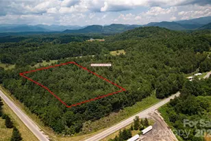60 Upper Roberts Branch Rd, Weaverville, NC 28787 - Photo 1