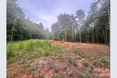 60 Upper Roberts Branch Road, Weaverville, NC 28787 - Photo 7