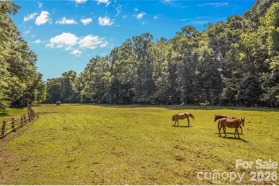 815 French Belk Road, Mount Ulla, NC 28125 - Photo 31