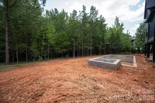 217 Crest Ct, Weddington, NC 28104 - Photo 45