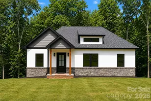 234 Fiddlers Ghost Cir, Mount Gilead, NC 27306 - Photo 1