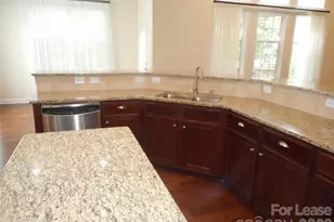 9628 Daufuskie Dr, Charlotte, NC 28278 - Photo 11