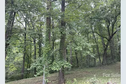 2060 US 19 Highway S, Bryson City, NC 28713 - Photo 3