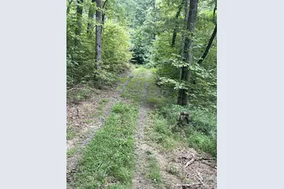 2060 US 19 Highway S, Bryson City, NC 28713 - Photo 5