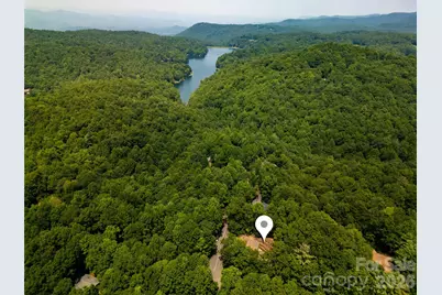 14 Isuhdavga Court #L16/U06, Brevard, NC 28712 - Photo 3