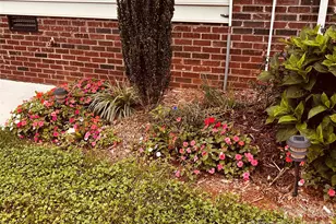 253 Stable Brook Ln, Taylorsville, NC 28681 - Photo 23