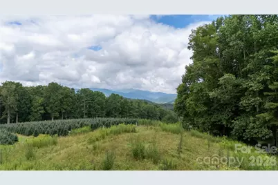 2027 Stamey Branch Road, Newland, NC 28657 - Photo 11