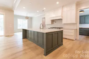 1009 Cane Manor Ct, Waxhaw, NC 28173 - Photo 5