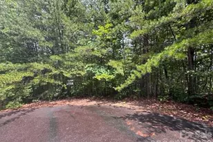 Tbd Fire Tower Rd, Bostic, NC 28018 - Photo 1