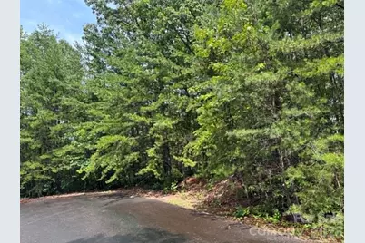 Tbd Fire Tower Road, Bostic, NC 28018 - Photo 3