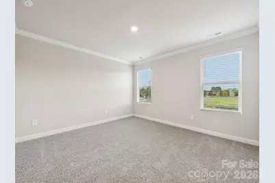 9045 Foggy Brook Loop, Charlotte, NC 28216 - Photo 19