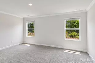 9033 Foggy Brook Loop, Charlotte, NC 28216 - Photo 11