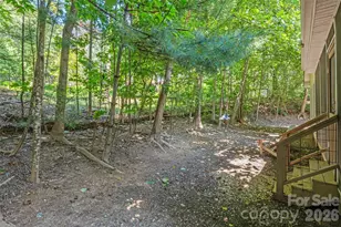 55 Greenwood Acres Dr, Mills River, NC 28759 - Photo 33