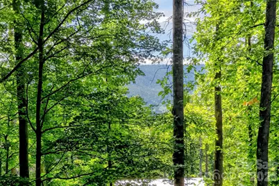 43 Clinchfield Gap Road, Marion, NC 28752 - Photo 35