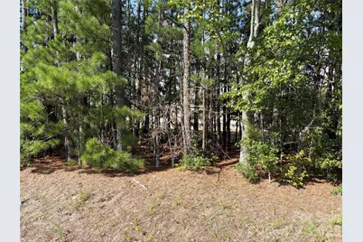 816 Hough Street, Mount Croghan, SC 29727 - Photo 37