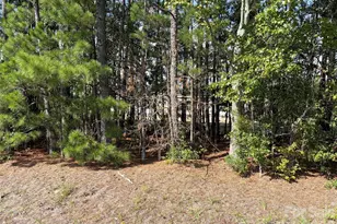 816 Hough St, Mount Croghan, SC 29727 - Photo 37