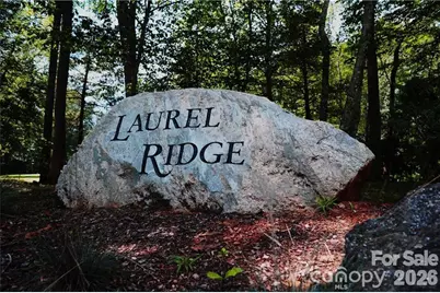 99999 Winding Poplar Road #915, Black Mountain, NC 28711 - Photo 17